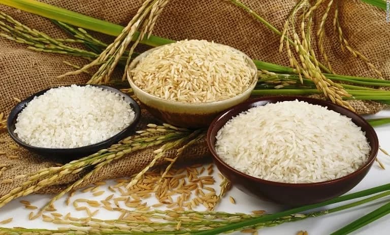 Rice Types